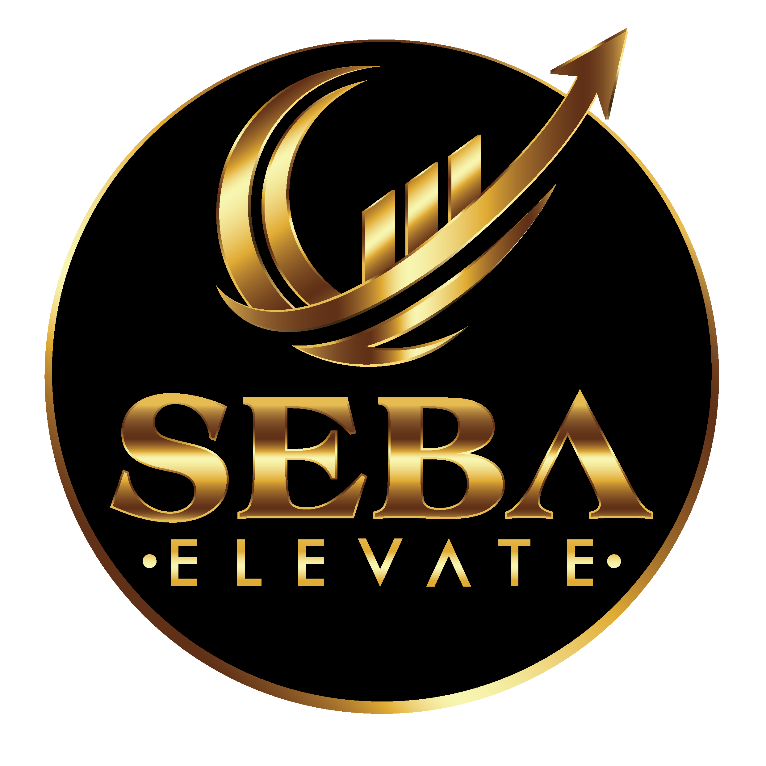 SebaElevate logo2
