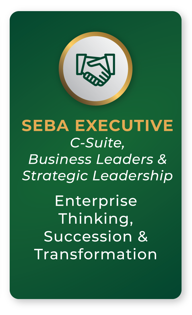 SebaExecutive 2